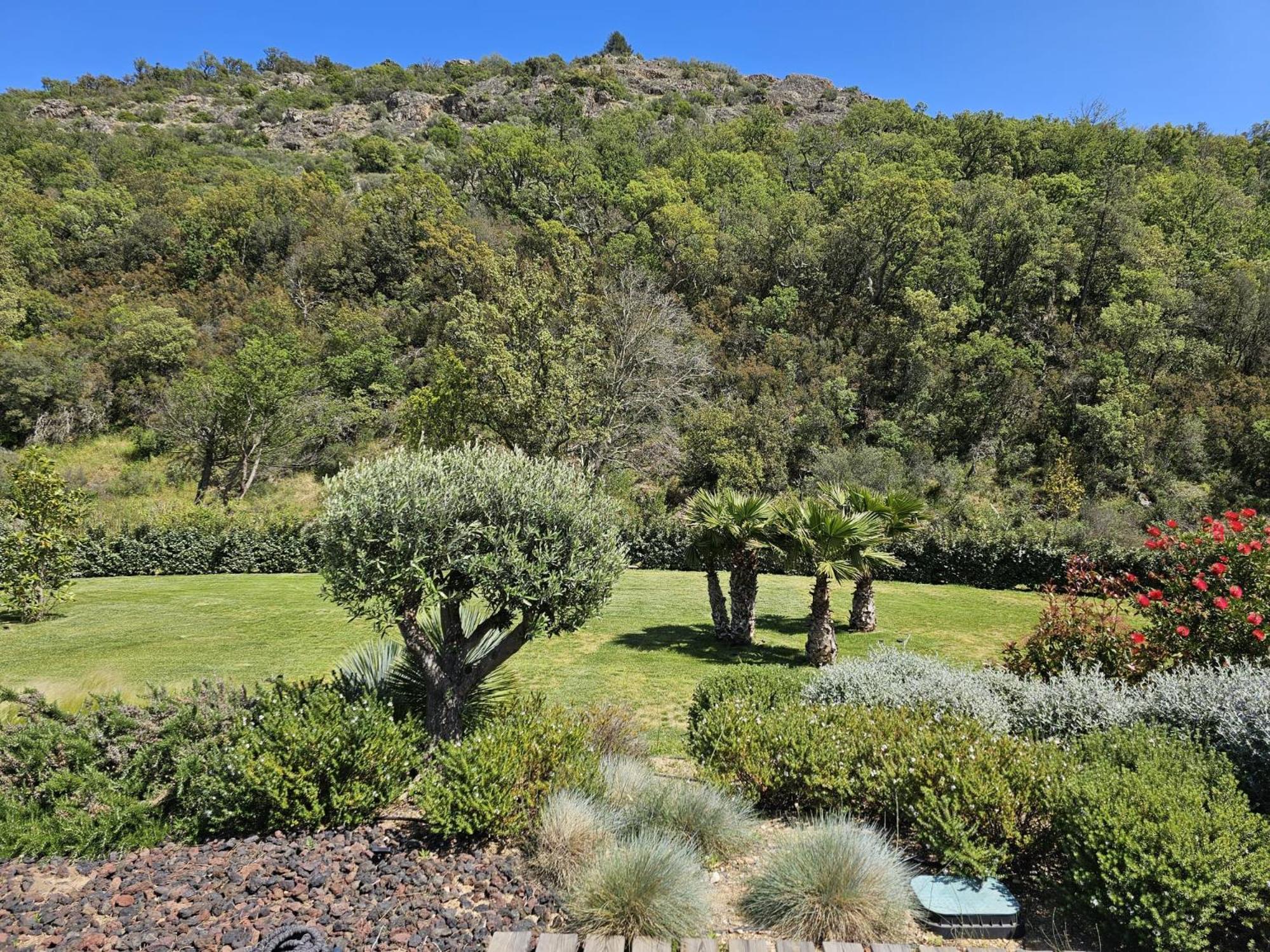 Villa Les Trois J Grimaud Buitenkant foto